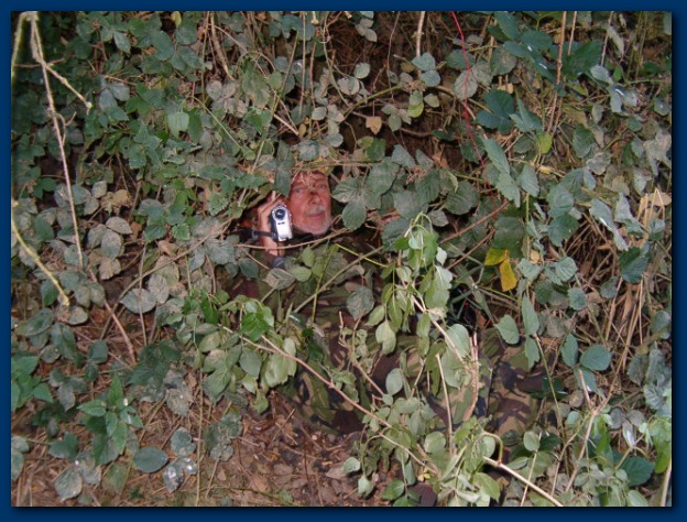 600x449 pixels (170K)